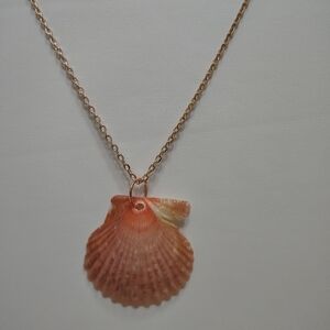 Scallop Shell Pendant Necklace